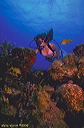 darcieuw071