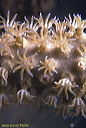 uw0093