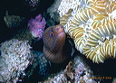 uw0097